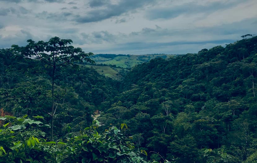 Lavazza e l’iniziativa Coffee&Climate