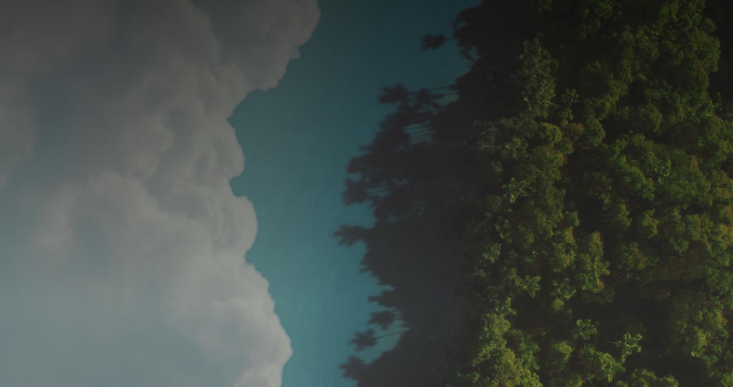Il documentario Amazonia - The Final Season