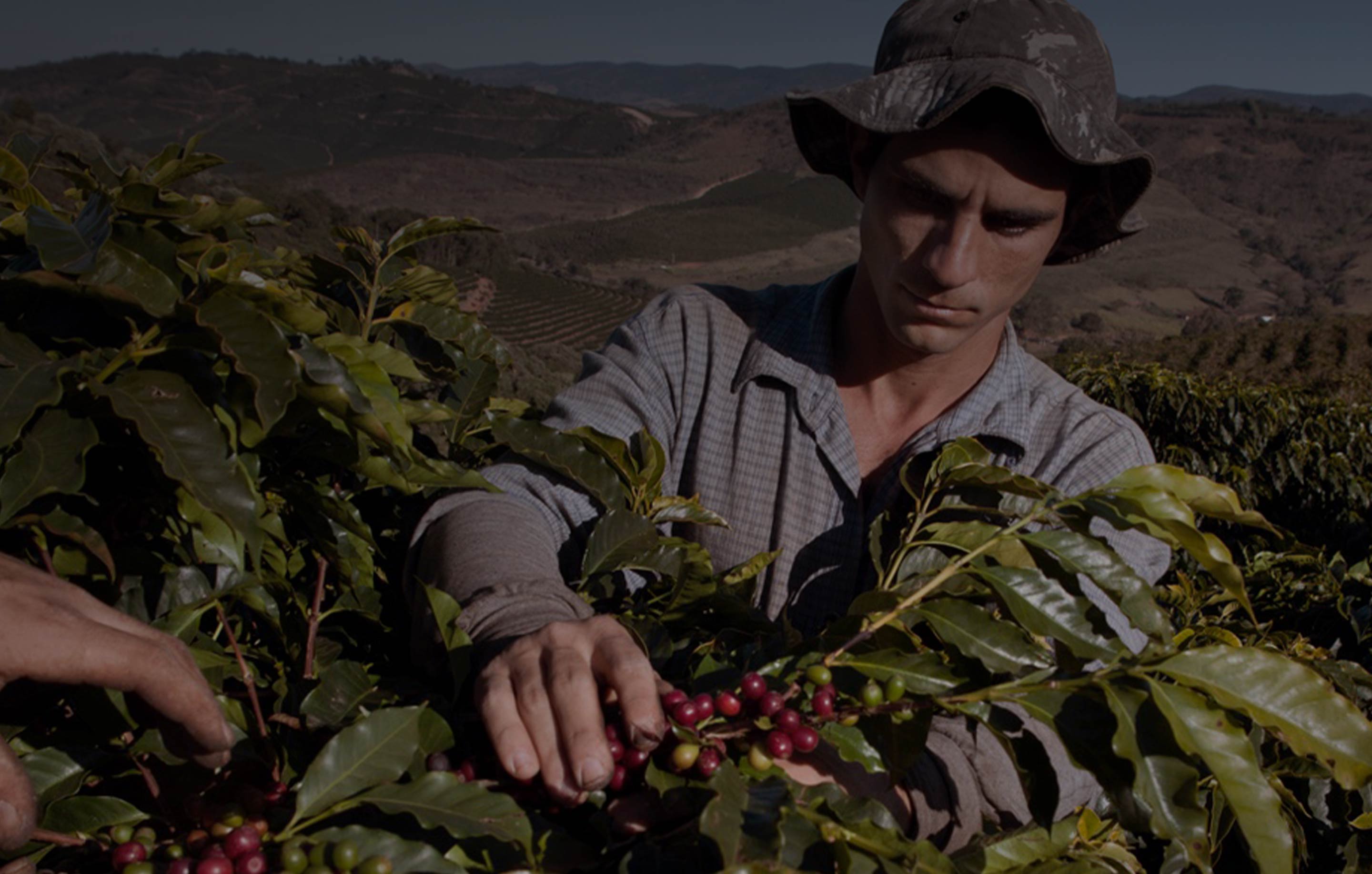 La vita di un coltivatore di caffè
