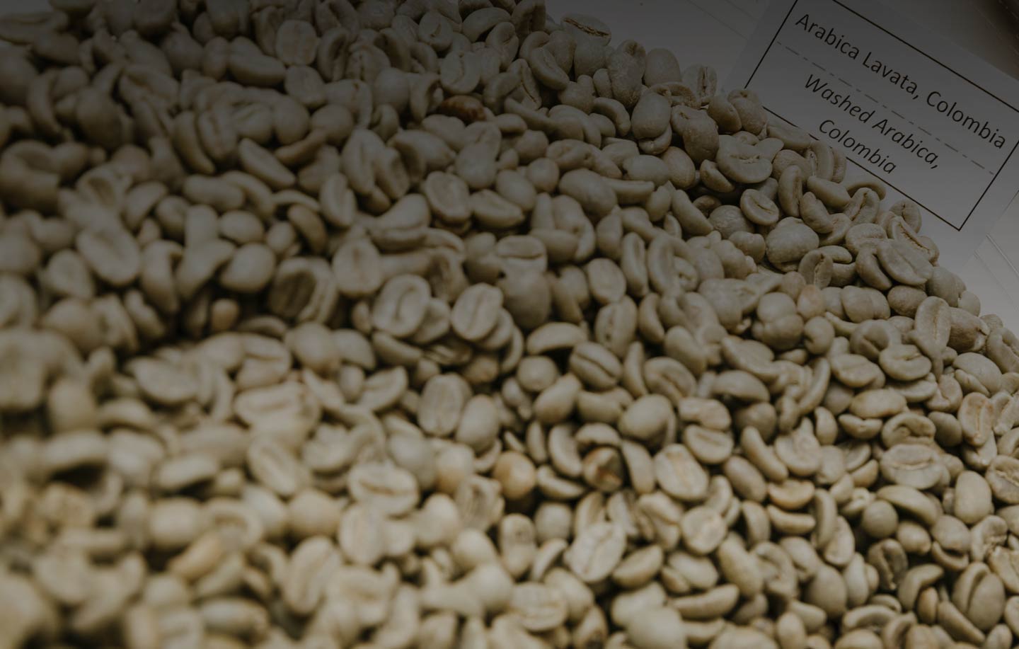 Caffè Arabica: cos'è questa varietà di caffè