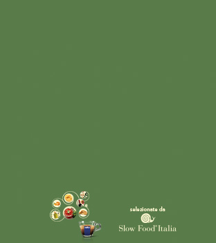background-banner-component